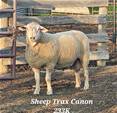 Sheep Trax Canon 233K